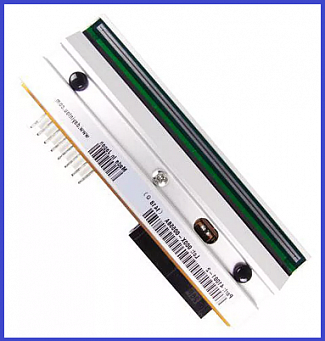 Печатающая головка 105SL Plus 203 dpi
